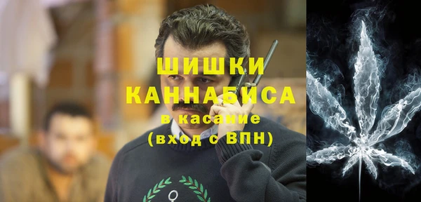 индика Володарск