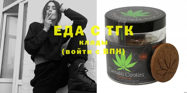 индика Володарск