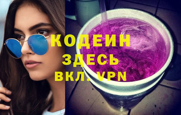 индика Володарск
