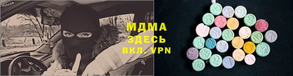 индика Володарск