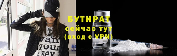 индика Володарск