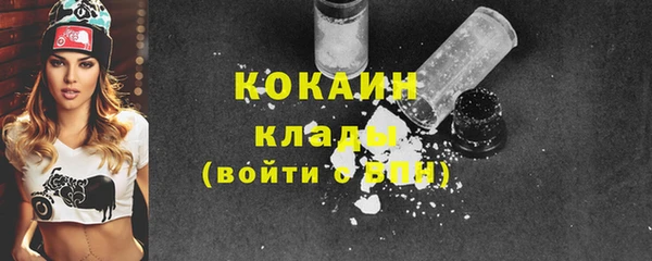 индика Володарск