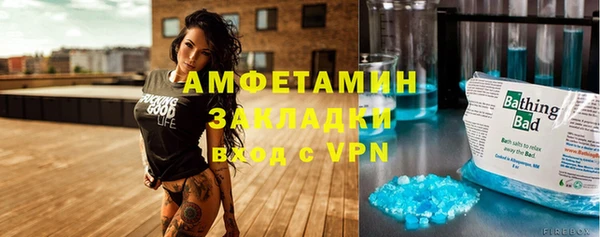 индика Володарск