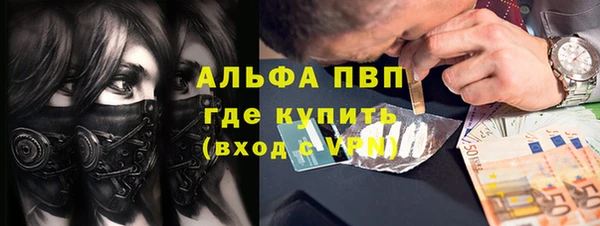 индика Володарск