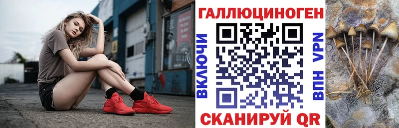 Псилоцибиновые грибы GOLDEN TEACHER  магазин продажи наркотиков  Инза 
